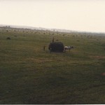 GVSU & CUE 1984, Kellie Pnacek-Carter